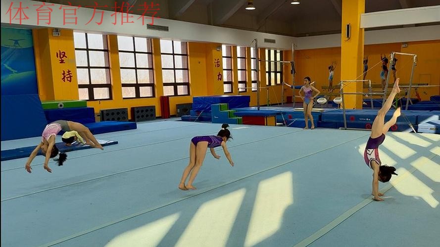 “金科试点”探索体操育人 ——走进郑州市金水区艺术小学体操训练基地(下 “金科试点”探索体操育人 ——走进郑州市金水区艺术小学体操训练基地(下
